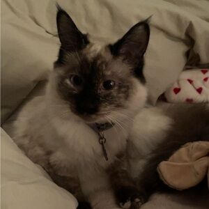 Meet your Posher, Kelsey